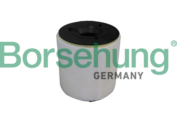 Air Filter (B10539)