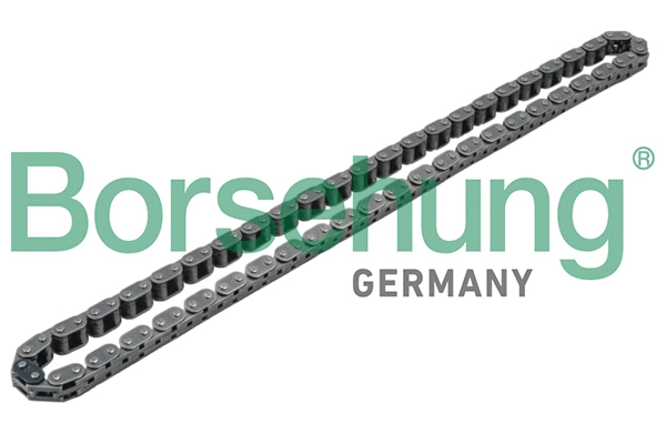 Timing Chain (B1C001)