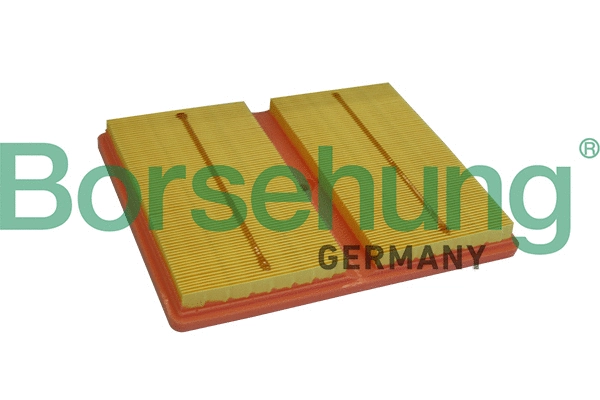 Air Filter (B10528)