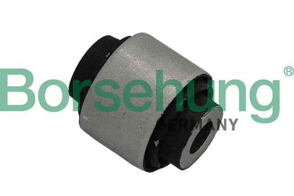Mounting, control/trailing arm (B19166)