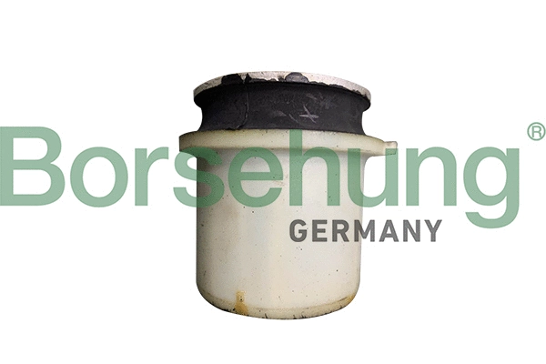 Bushing, axle beam (B10030)