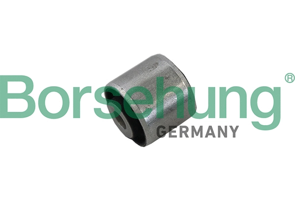 Mounting, control/trailing arm (B19195)