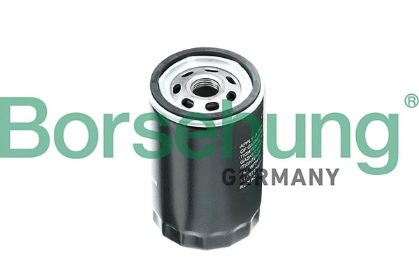 Oil Filter (B10433)