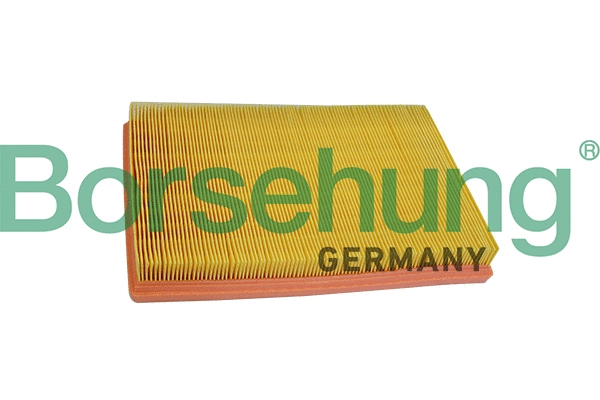 Air Filter (B10530)