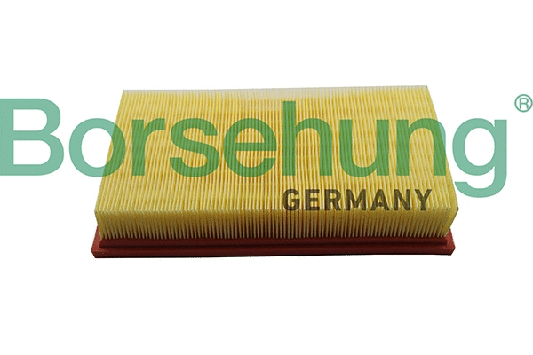Air Filter (B19093)