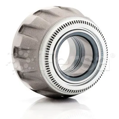 Wheel Bearing Kit (F 300003)