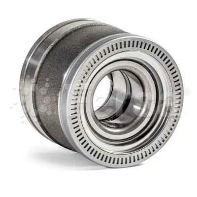 Wheel Hub (F 400011)