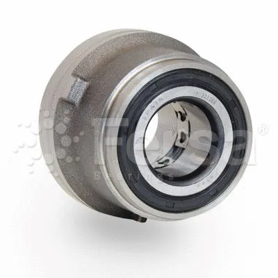 Wheel Bearing Kit (F 300006)