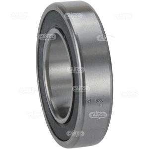 Bearing (142289)