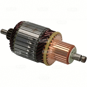 Armature, starter (335363)