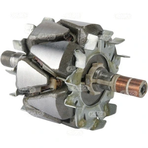 Rotor, alternator (236223)