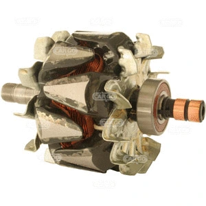 Rotor, alternator (239238)