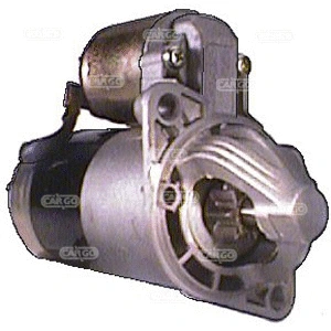 Starter (111307)