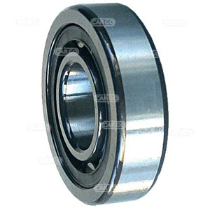 Bearing (141044)