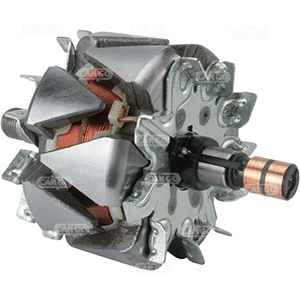 Rotor, alternator (335074)
