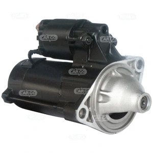 Starter (111310)