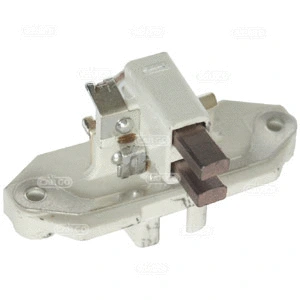 Holder, carbon brushes