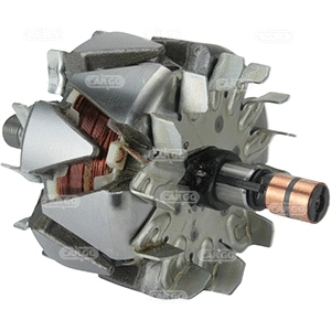 Rotor, alternator (335076)