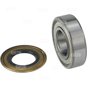 Bearing (141009)