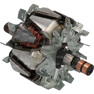 Rotor, alternator (239755)