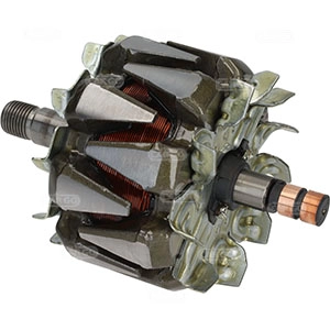 Rotor, alternator (335784)
