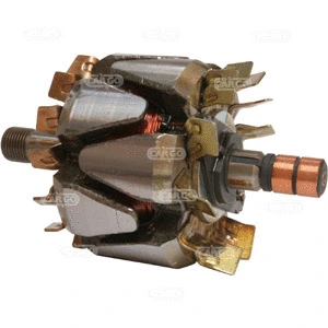 Rotor, alternator (136674)