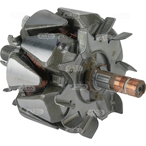 Rotor, alternator (333371)