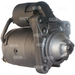 Starter (110585)