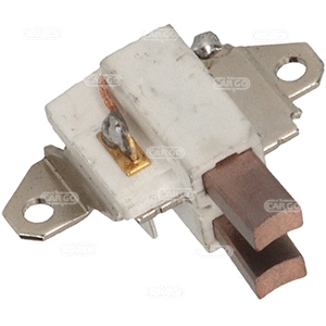 Holder, carbon brushes