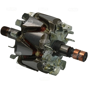 Rotor, alternator (335299)