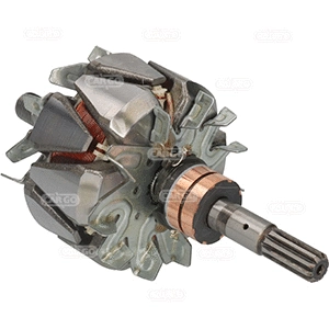 Rotor, alternator (330394)