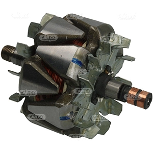 Rotor, alternator (335298)