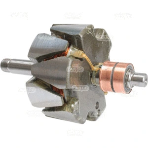 Rotor, alternator (237371)