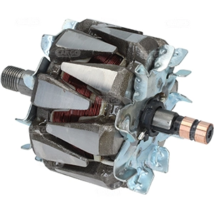 Rotor, alternator (335782)
