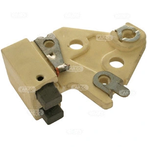 Holder, carbon brushes