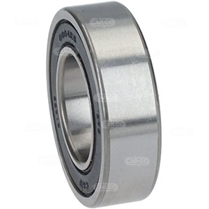 Bearing (334069)