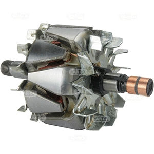 Rotor, alternator (335075)