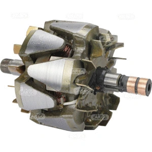 Rotor, alternator (232198)