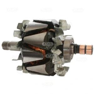 Rotor, alternator (233854)