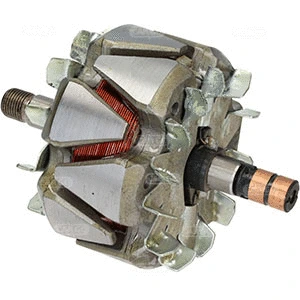 Rotor, alternator (335674)