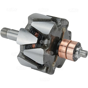 Rotor, alternator (131118)