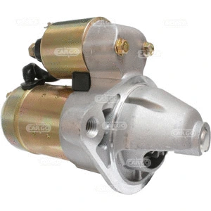 Starter (111690)