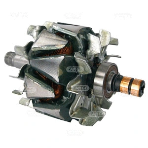 Rotor, alternator (230849)