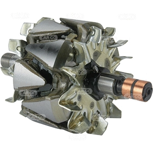 Rotor, alternator (335082)