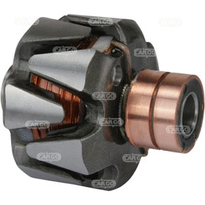 Rotor, alternator (234095)