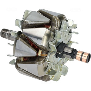 Rotor, alternator (335669)