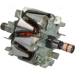 Rotor, alternator (335204)