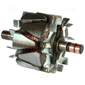 Rotor, alternator (137335)