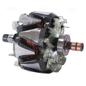 Rotor, alternator (138048)