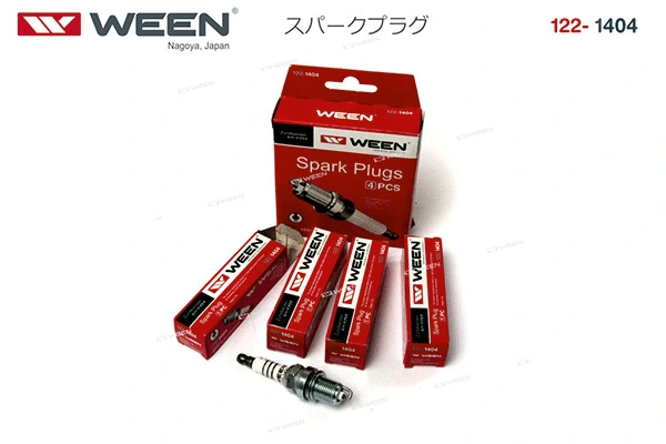 Spark Plug